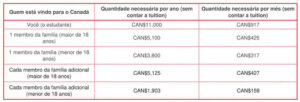 Comprovação financeira visto canadense: quanto precisa ter?